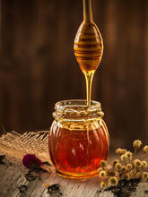Canva Honey