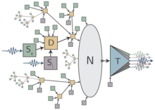 Schematic of loop neuron with dendritic tree