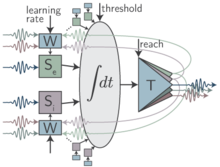 Schematic of basic loop neuron structure