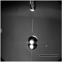 Inkjet droplet on hydrophobic surface