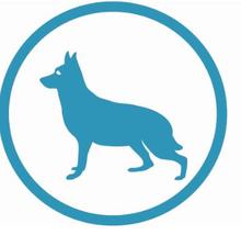 OSAC Dogs & Sensors SC icon 