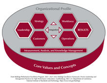 The Baldrige Criteria for Performance Excellence Overview consists of the six categories (Organizational Profile, Leadership, Strategy, Customers, Measurement, Analysis, and Knowledge Management, Workforce, Operations, and Results).