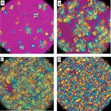Optical micrographs of spherulitic growth during crystallization