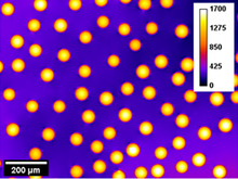 Practical application of microsphere samples for benchmarking a quantitative phase imaging system  