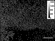 Large Field of View Quantitative Phase Imaging of Induced Pluripotent Stem Cells and Optical Pathlength Reference Materials  