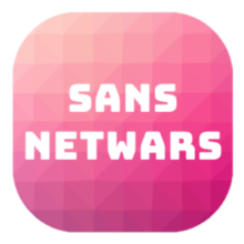 SANS NETWARS