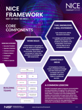 NICE Framework Core Components Poster Image