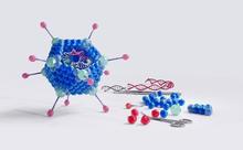 Illustration of engineered viral vector particle with DNA and engineered capsid for gene therapy