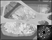 2D MFI zeolite nanosheets STEM-in-SEM image (20 keV)