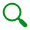 little green magnifying glass icon