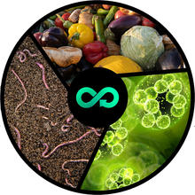 Facilitating a Circular Economy for Food and Biomass 