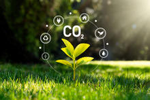 Photograph of grass and a plant with CO2 superimposed.