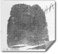 fingerprint