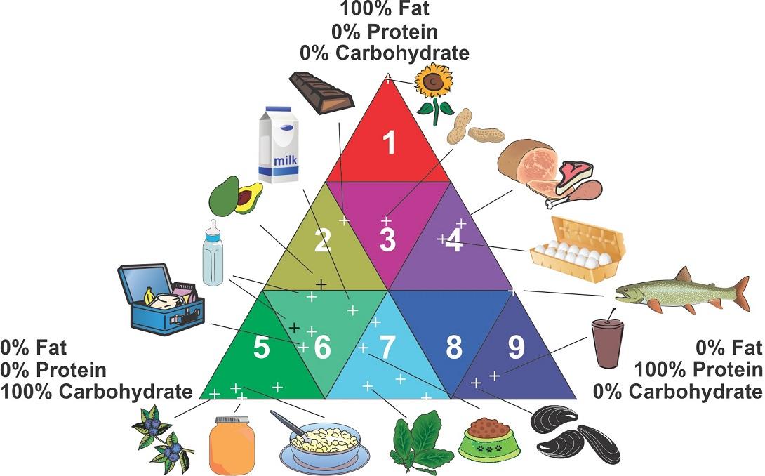 Macronutrients on food labels