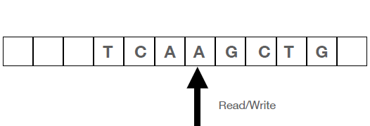 How Alan Turing Invented the Computer Age - Scientific American Blog Network
