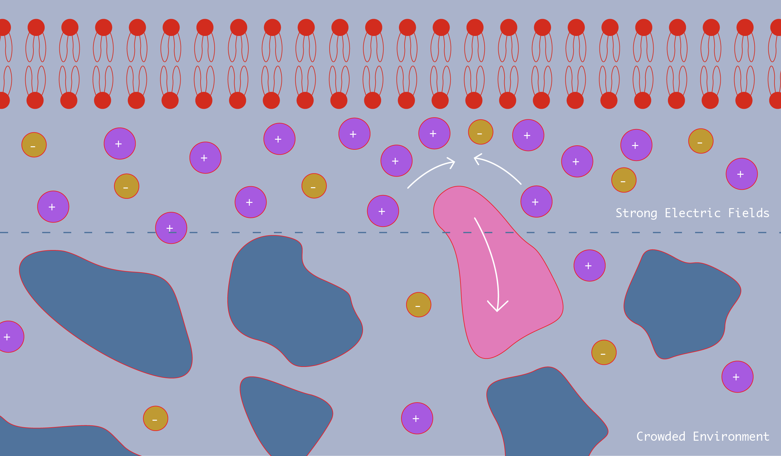Electric molecules 01 sales