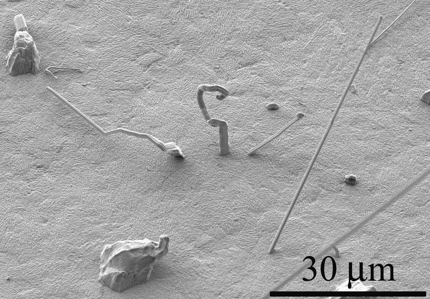 Lead-Free Surface Finishes For Electronic Components: Tin Whisker Growth |  Nist