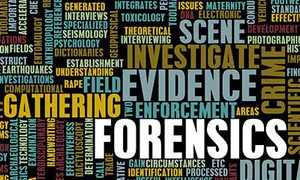 Forensics wordle