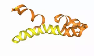 Alphafold prediction of RNA structure