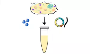 The insides of a bacteria cell being mixed with DNA to make protein in a test tube