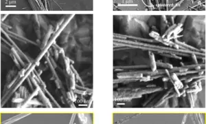 Grid of six B&W images of asbestos fibers taken by scanning electron microscopy
