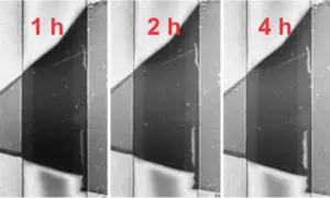 A time series of a MoS2 flake exposed to increasing time under electrical stress shows the growth of defects denoted with red and yellow areas over time. S= source and D = drain electrode.