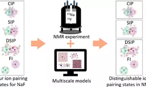 Model of combining nuclear magnetic resonance (NMR) spectroscopy and multiscale modeling to disentangle ion–solvent interactions from ion pairing in aqueous sodium fluoride solutions.