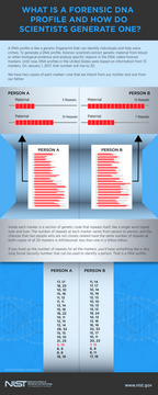 Infographic detailing forensic DNA profiling
