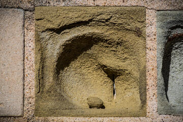 NIST Stone Test Wall Ohio yellow sandstone with loose stone