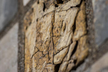 NIST Stone Test Wall Portuguese yellow marble fissures detail