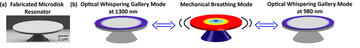 4 images of microdisks