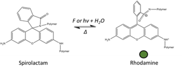Density Functional Theory Modeling of Mechanophore Dyes