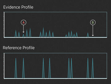 Two series of peaks on a black background, one labeled, “Evidence Profile,” and the other labeled, “Reference Profile.”