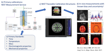 MRI biomarker measurement service