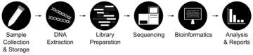 Metagenomics Workflow