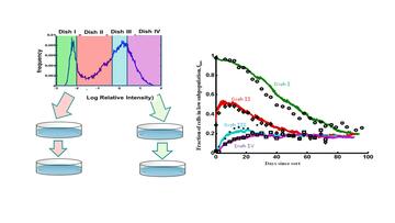 Experiment design and data