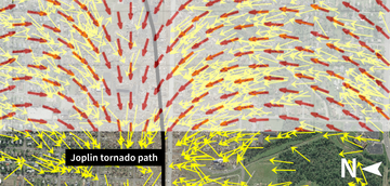 A satellite image with yellow arrows marking fallen trees and a second set of overlaid red arrows indicating a computer estimate of the location of fallen trees.