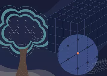 Illustration in blue tones shows a tree on the left with algorithms and lattice images on right. 