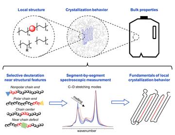 deuterium-labeled polyethylenes to study crystallization near different chain segments and defects by FTIR, which have impacts in resultant material properties