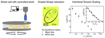 Interfacial Tension 