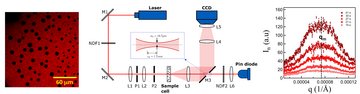 Kinetics of phase separation