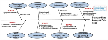 Fishbone-like diagram showing variability contributions, from left to right, first for cell and control samples and instrument platforms, second for each antibody clone and panel compensation samples, third for cell counting approach and dead cell and fluorescence minus one controls, and, finally, fourth data acquisition and analysis and standardized file naming and storage. These contributions point to the end result of a standardized assay and data file collection.