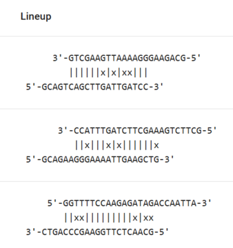 AutoDimer DNA helix screening