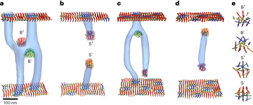 skyrmion structures