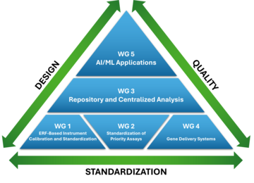 Schematic illustration of NIST FCS Consortium working groups as a pyramid with WGs 1, 2 and 4 at the base, WG 3 in the middle and WG 5 at the point.  On each edge,  dual headed arrows showing connectivity of concepts design, standardization, and quality.