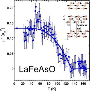 LaFeAsO Magnetic Order Parameter