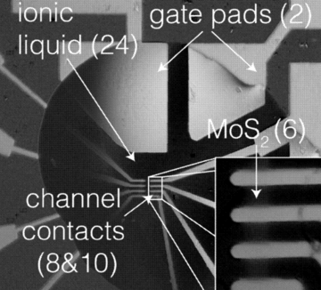 A micrograph of a dual gate field effect transistor.