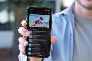Close-up of a smartphone held in a person's hand, showing a Colorado mobile driver's license with an image of a bighorn sheep. 