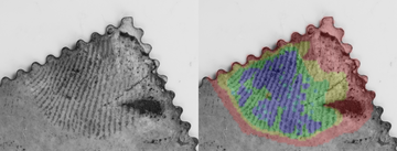 A postage stamp with a fingerprint on it is shown twice, once in black and white and then with different regions colorized.