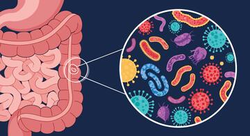 Illustration of human intestines featuring a magnified view showing various types of cartoon-style bacteria, representing the gut microbiome.